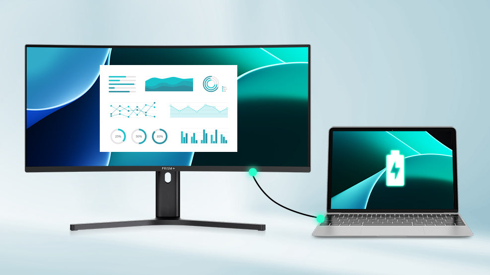 monitor x240 - 10