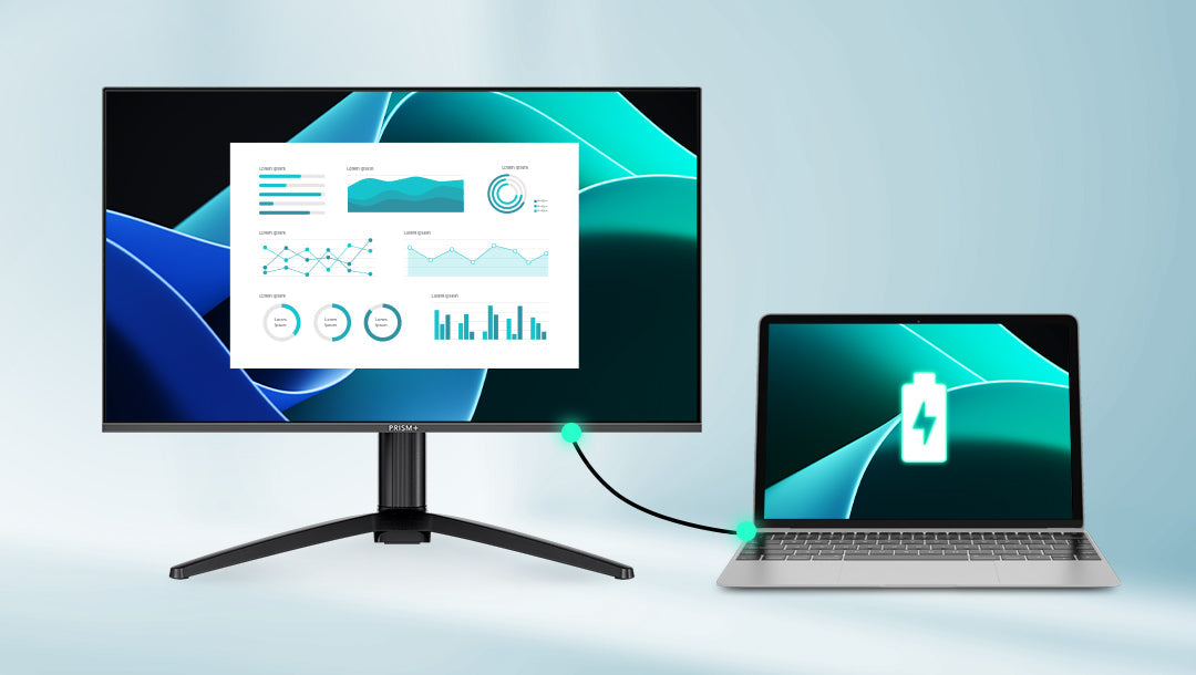 monitor x240 - 10