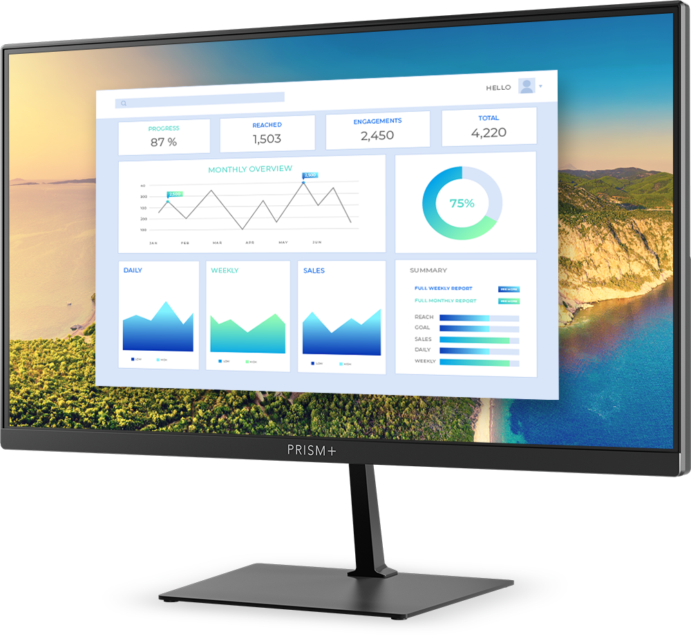 monitor w270 - 1